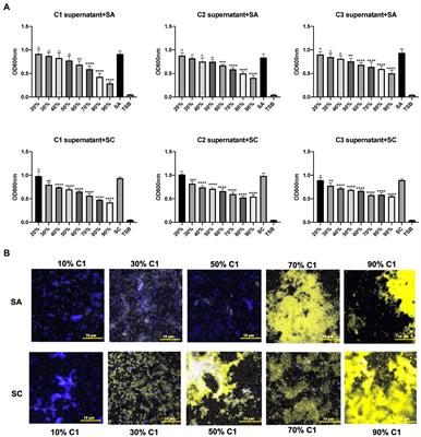 Corynebacterium accolens inhibits Staphylococcus aureus induced mucosal barrier disruption